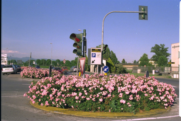 lavori cityflor 044